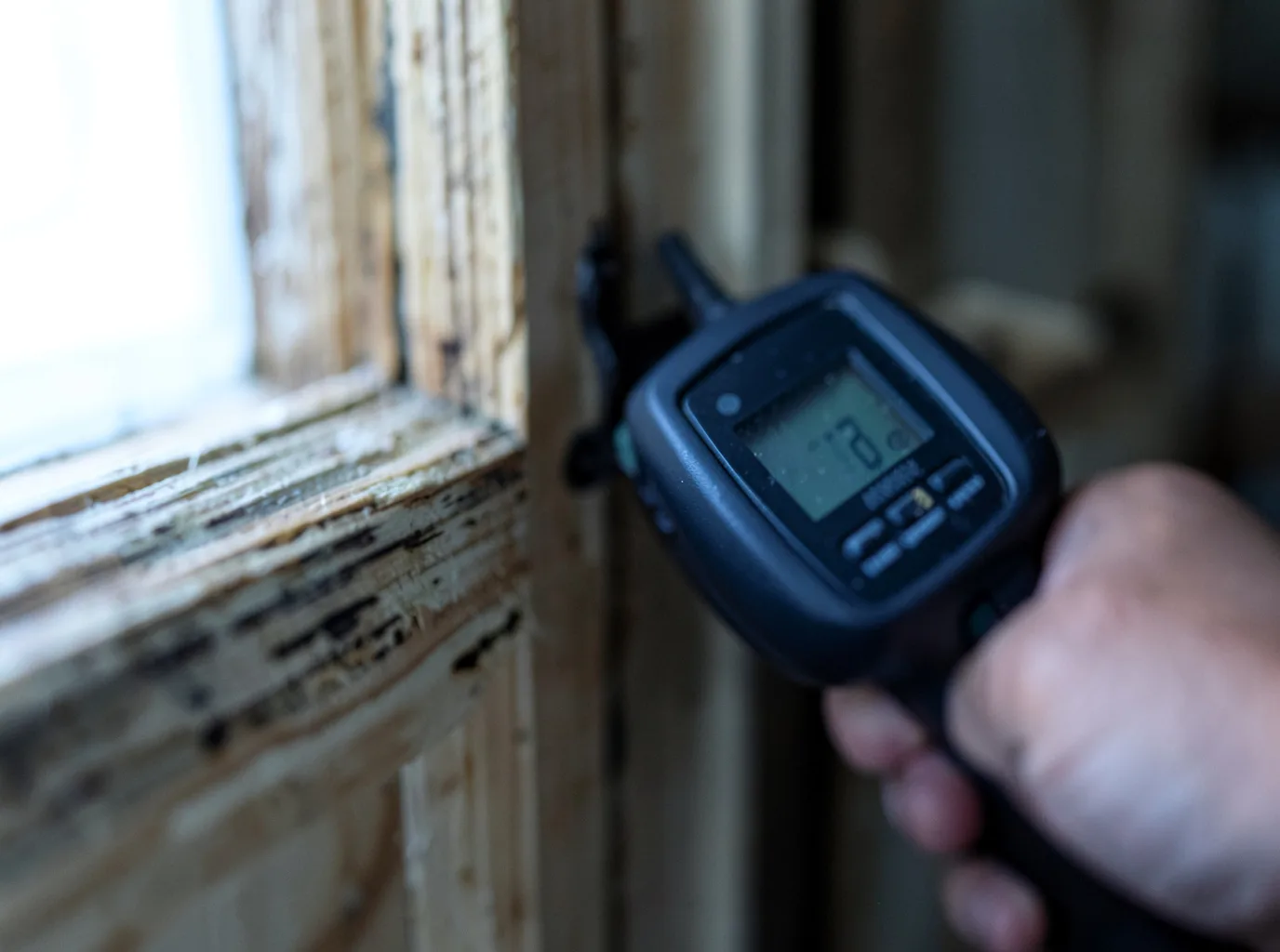 Moisture Inspection And Documentation in Rutland, SD